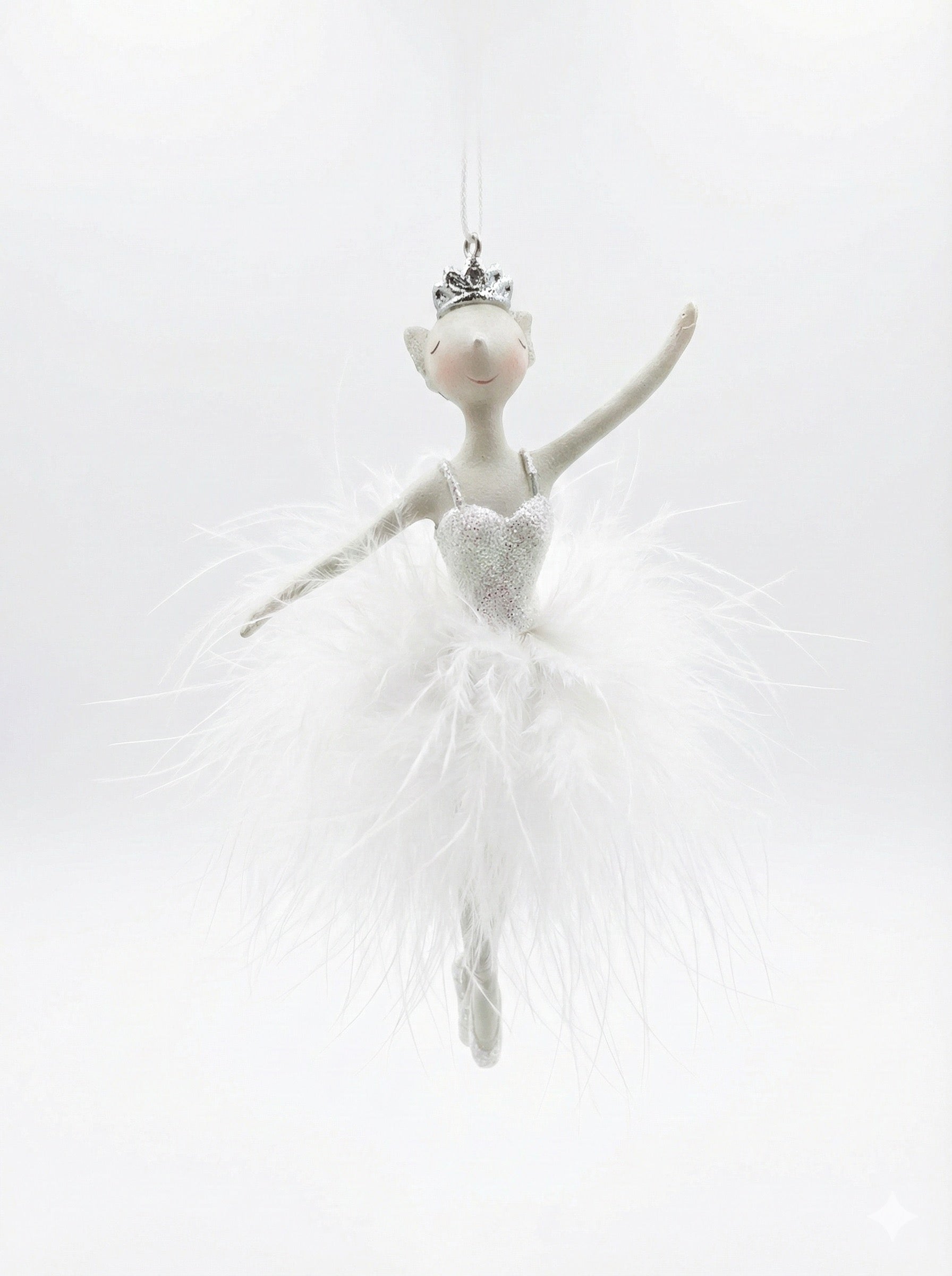 Feather Tutu and Silver Crown