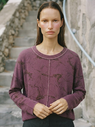 Berenice Printed Knit Pullover